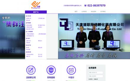 天津清聯(lián)網(wǎng)絡(luò)孵化器有限公司